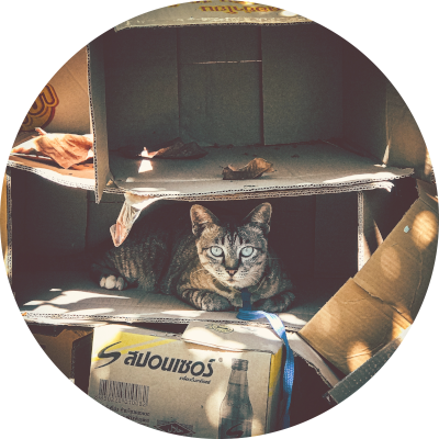 Katzen Mama Logo